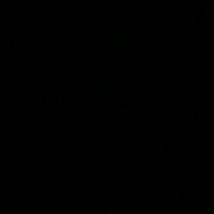 Meet your Posher, Corina